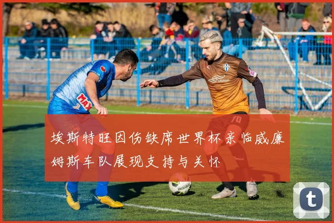 埃斯特旺因伤缺席世界杯亲临威廉姆斯车队展现支持与关怀