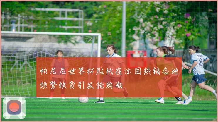 帕尼尼世界杯贴纸在法国热销各地频繁缺货引发抢购潮